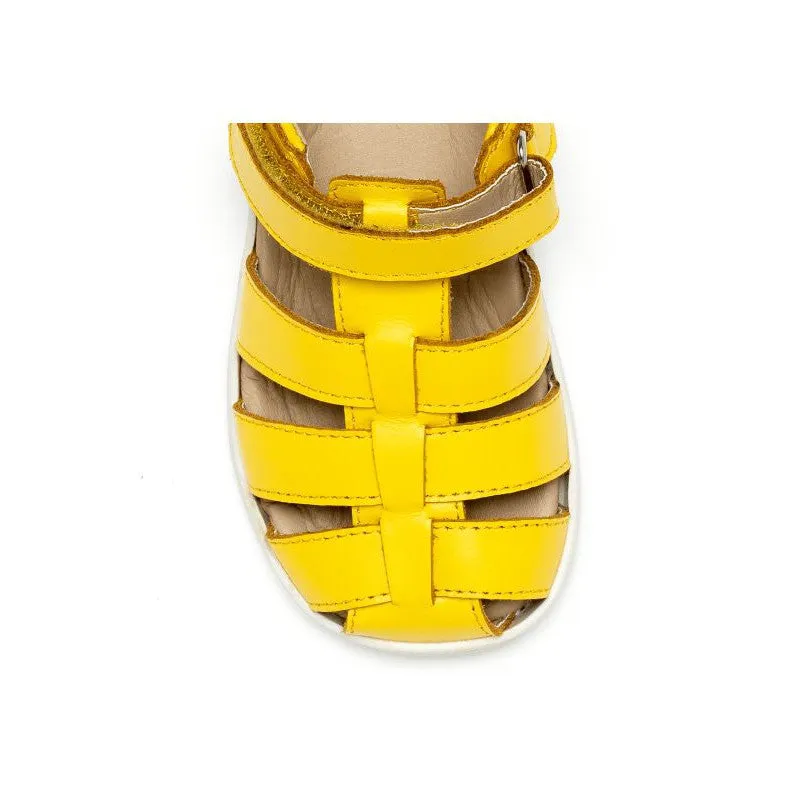 Chipmunk Noah Boys Yellow Leather Touch Fastening Sandals